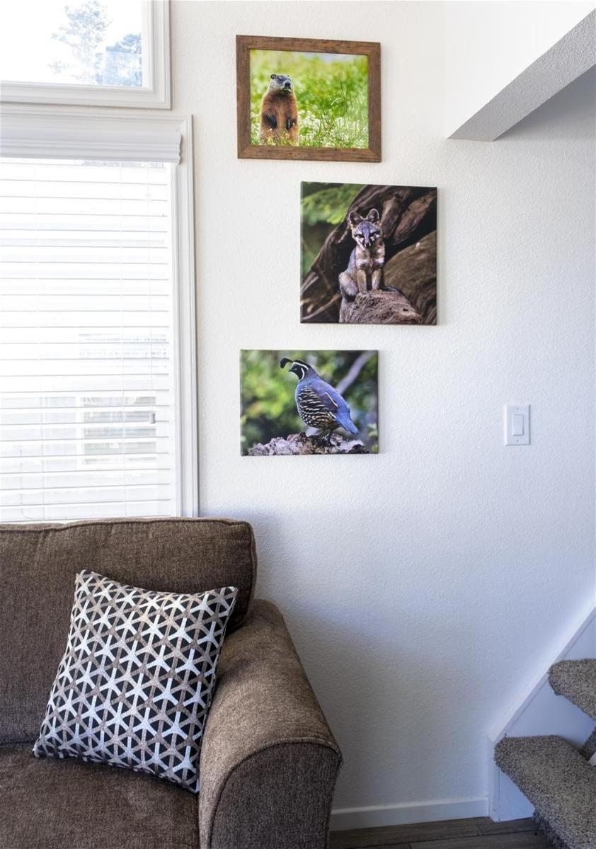 Woodchuck Flat Villa Fort Bragg Exterior foto